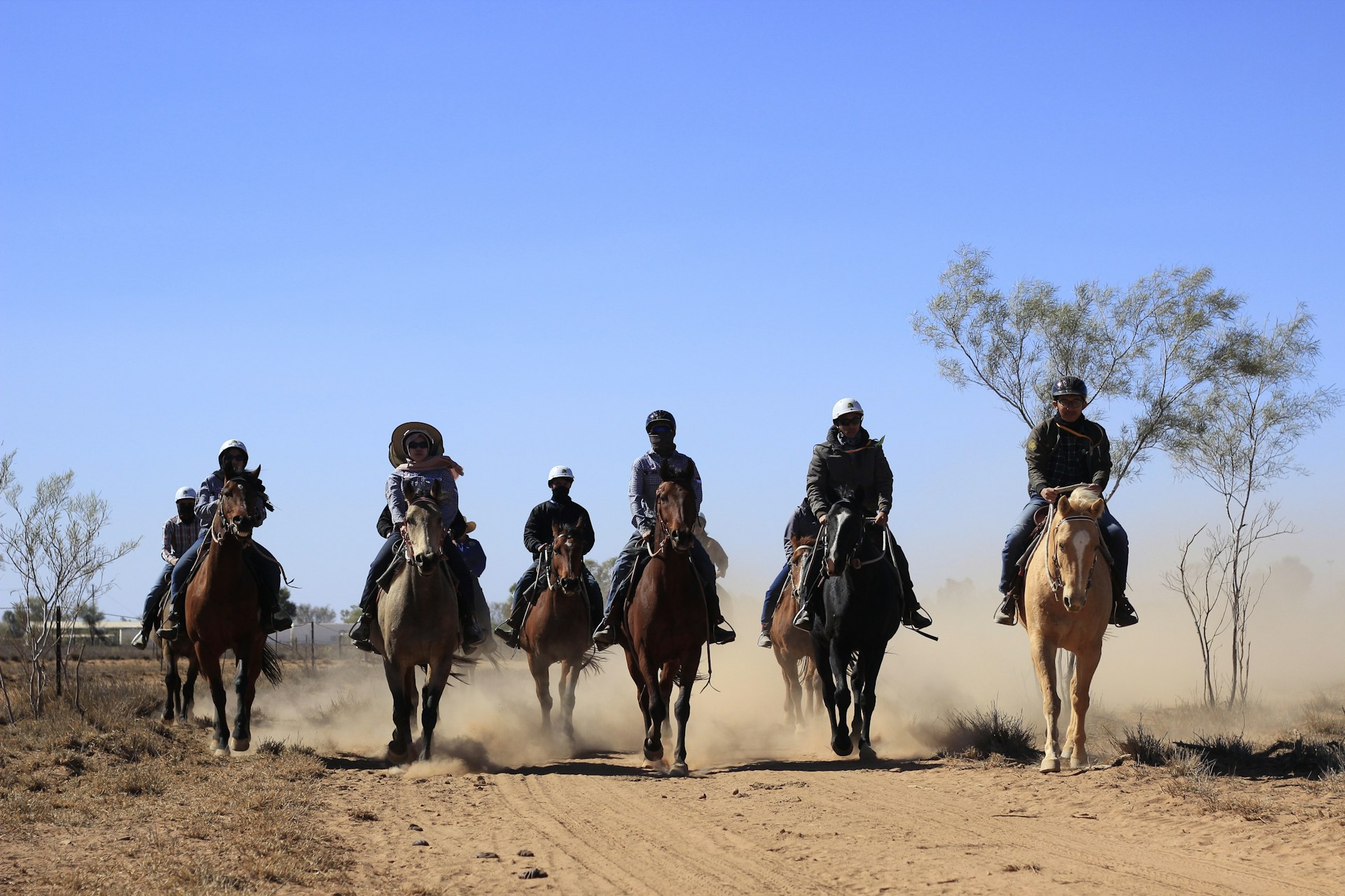Horseback Trail Riding