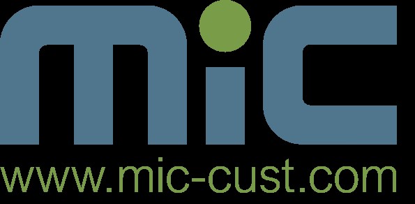 MIC Customs Solutions Logo