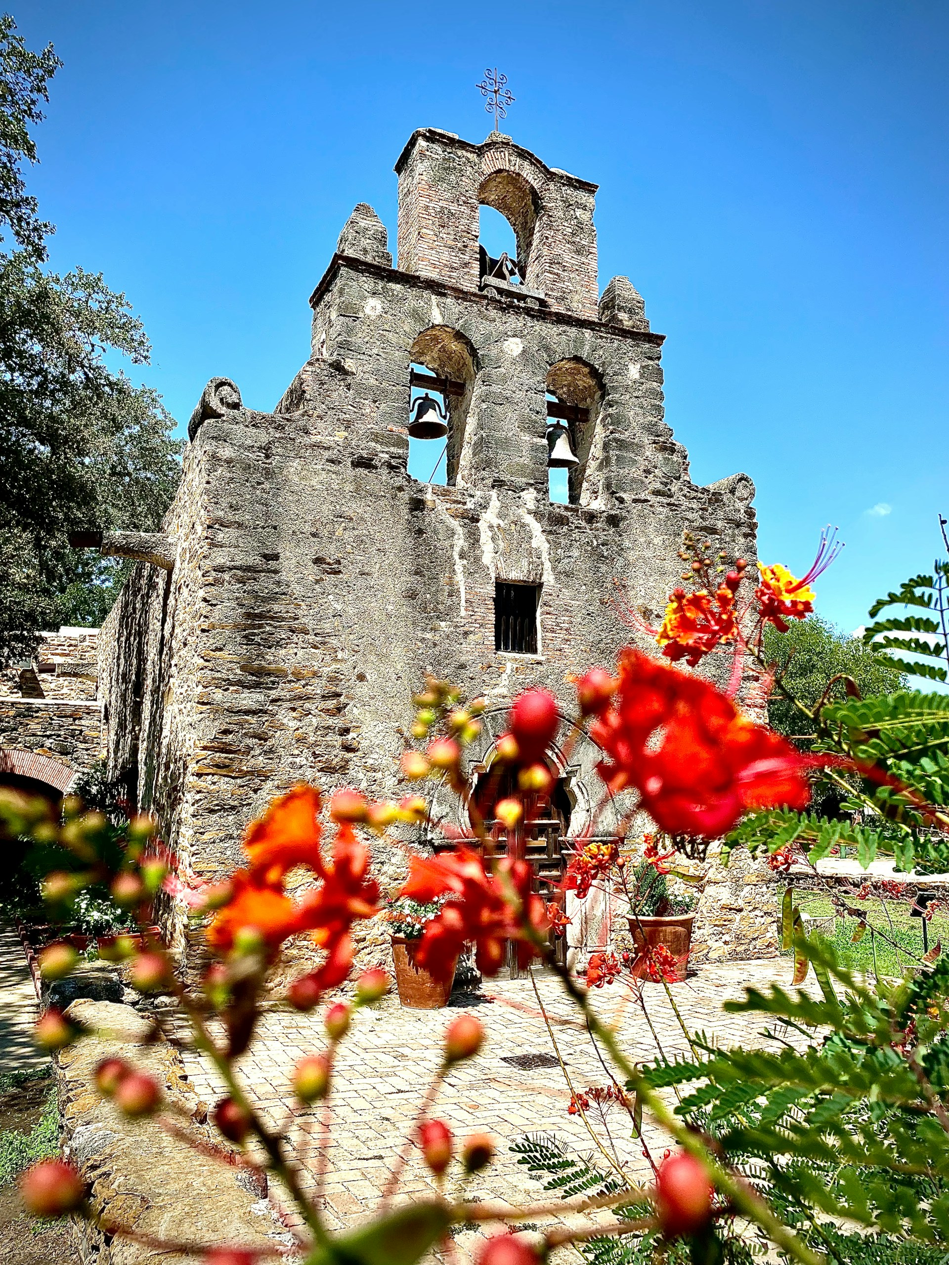 The Alamo The Alamo