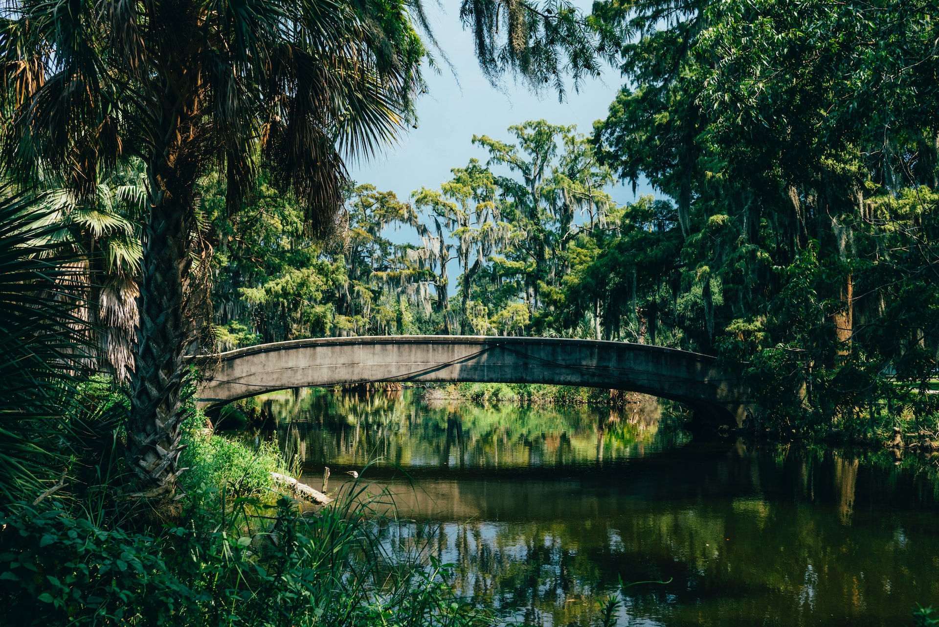 City Park
